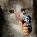 cat_with_a_gun