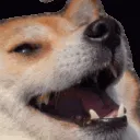 em0Dogelol Discord Emoji