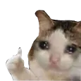 SadThumbs SadThumbs