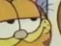 garf6 garf6