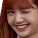 lisa_wink