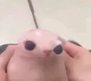 bngs
