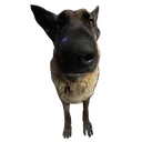 anthonyDogEmoji