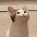 emoji_15