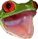 FROGGERS