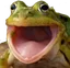 FrogChamp