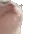 catJAM catJAM