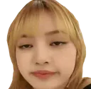 lisareally lisareally