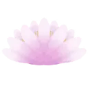LotusFlower
