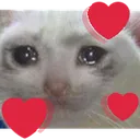crycat_with_3_hearts