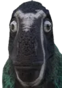 alioeyes