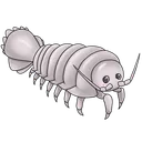 isopod1