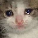 cri