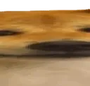 wide2