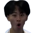 ZenPog Discord emoji