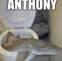 anthony