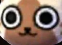 Felyne_Stare Felyne_Stare
