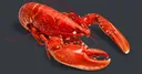 Lobster