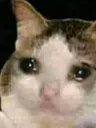 emoji_2