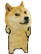 DogePls
