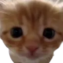 hithere_cc