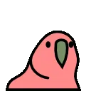 REN_ConfusedParrot