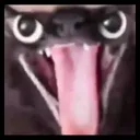 MUCURENGO MUCURENGO