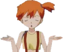 shrugmisty