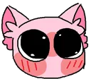 bingusflushed2