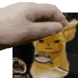 petTheKeyb0ard