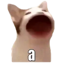 Cat_gatoivan_retrasados Discord Emoji