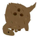 Conconut