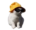 Swagcat swagcat Discord Emoji