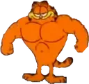 garfs garfs