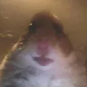 facetime