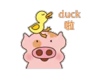 duck