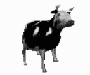 polishdancingcow Discord Emoji