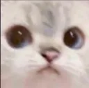catango