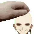 petbaldli