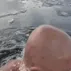 iceman