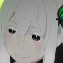Echidna_hmmm