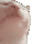 CatHype2