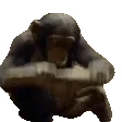 MODS MODS