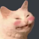 meow