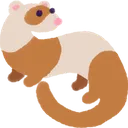 ferret