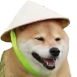 doginhat