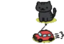 NekoAtsumeCar