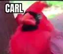 carl