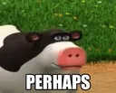 perhapscow