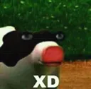 xdcow